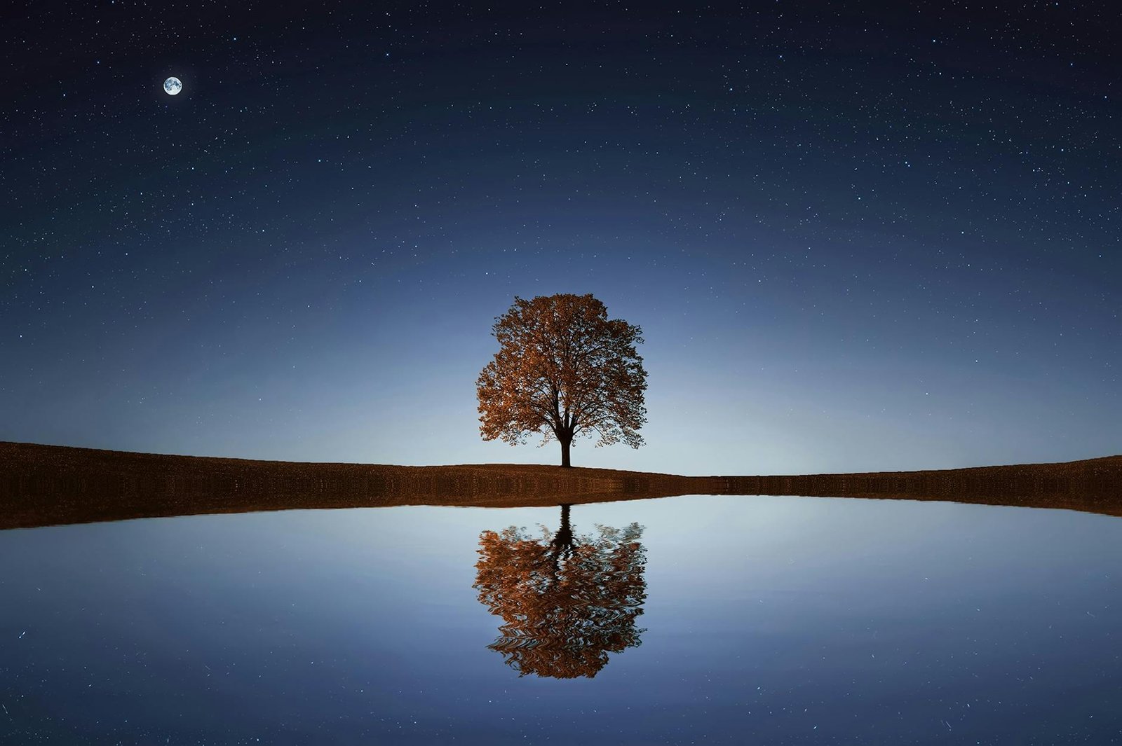Serene night landscape with a solitary tree reflecting in calm waters beneath a starry sky.