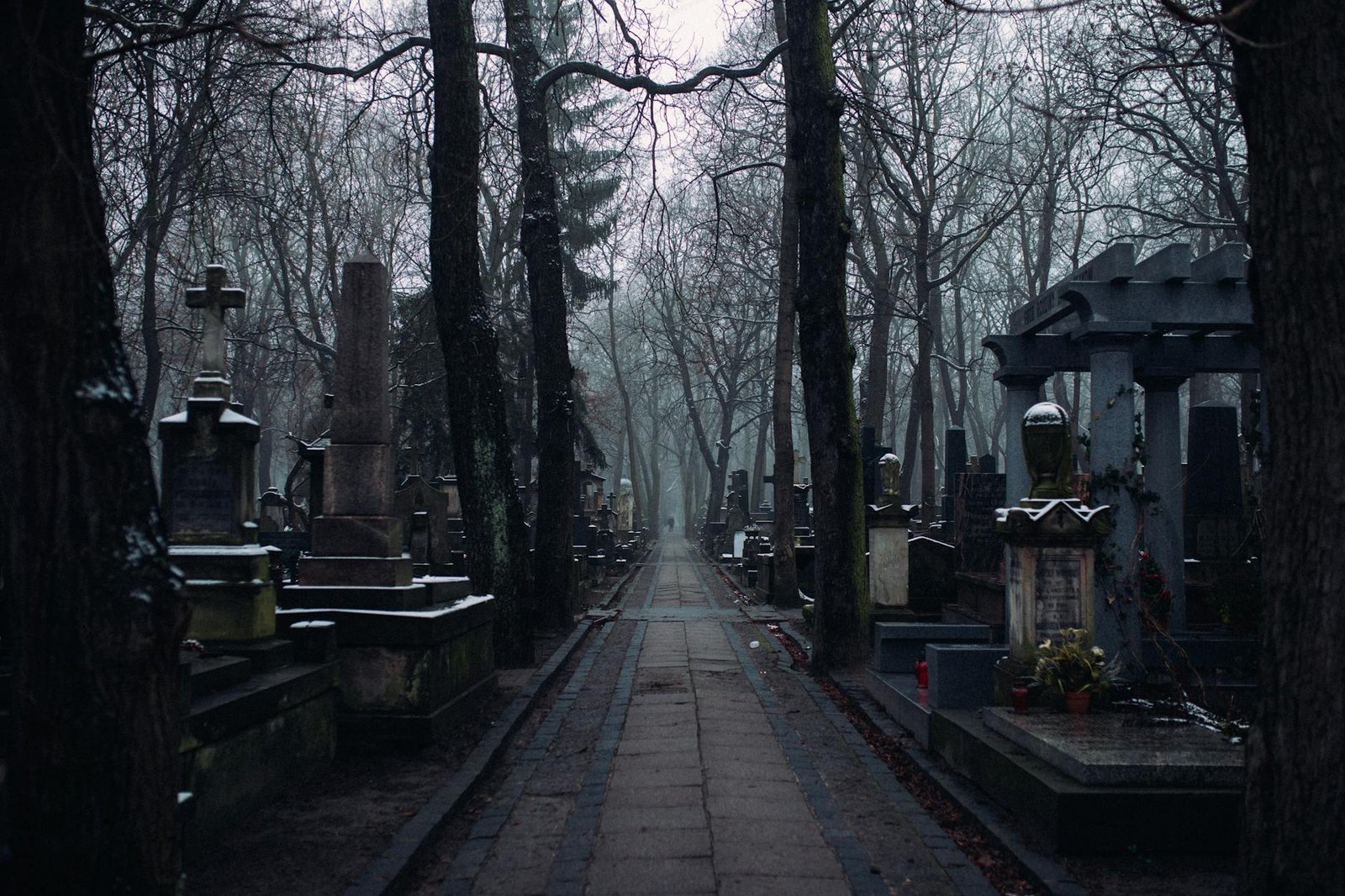 A misty winter morning in an old cemetery with tombstones and leafless trees lining the path.