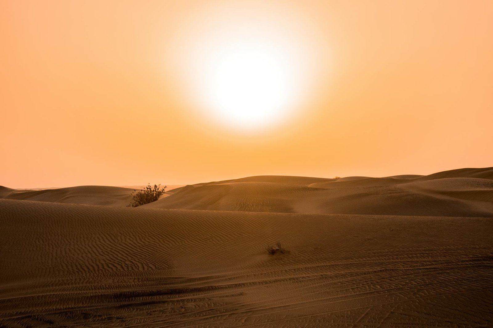 Scenic view of the sun setting over sand dunes in the Dubai desert.